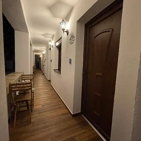 Luna Vendeghaz Székesfehérvár