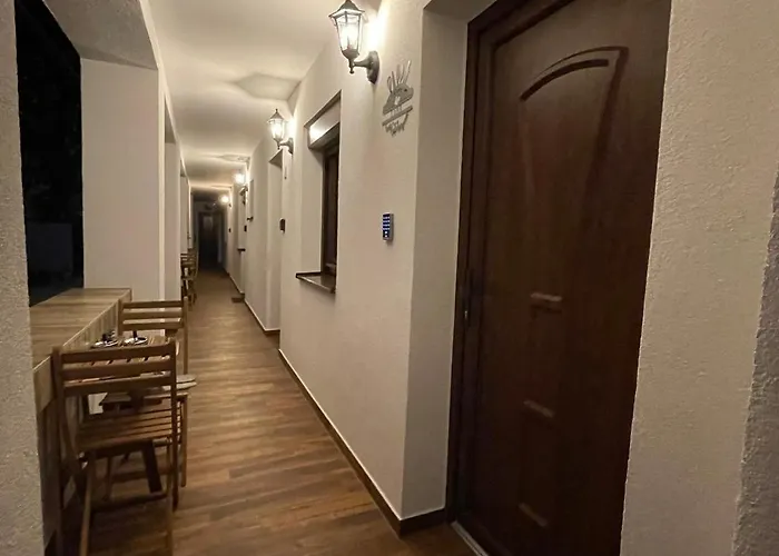 Luna Vendeghaz Székesfehérvár